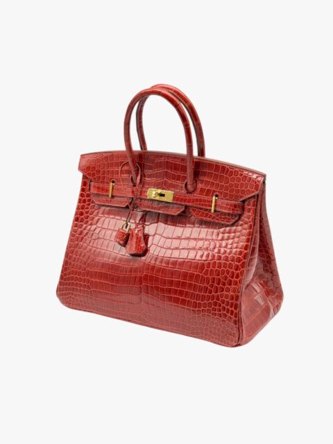 HERMÈS – BORSA BIRKIN 35 RETOURNÉ COCCODRILLO POROSUS BRAISE SHINE – GHW